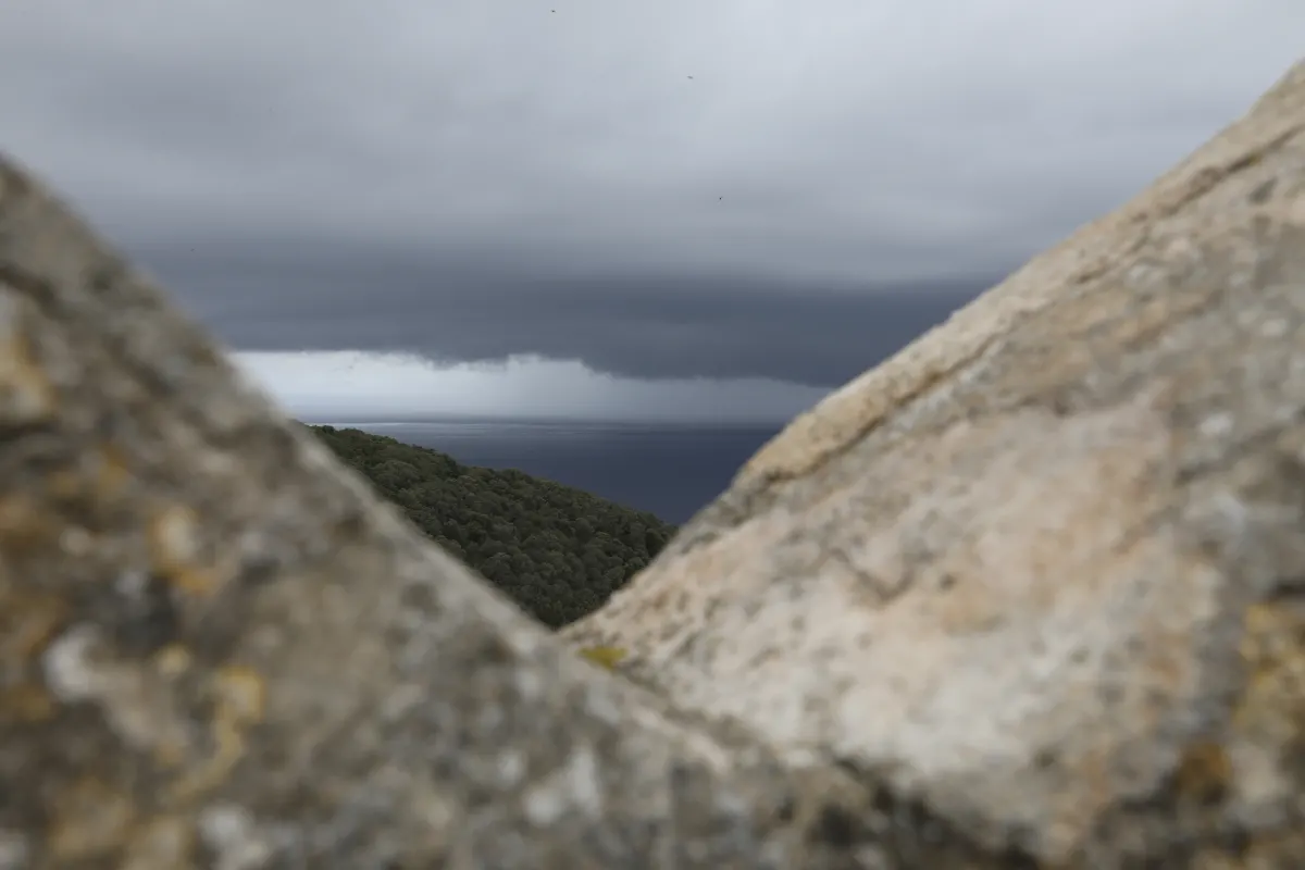 Il mare e il bosco visti dagli spalti della Rocca di Populonia